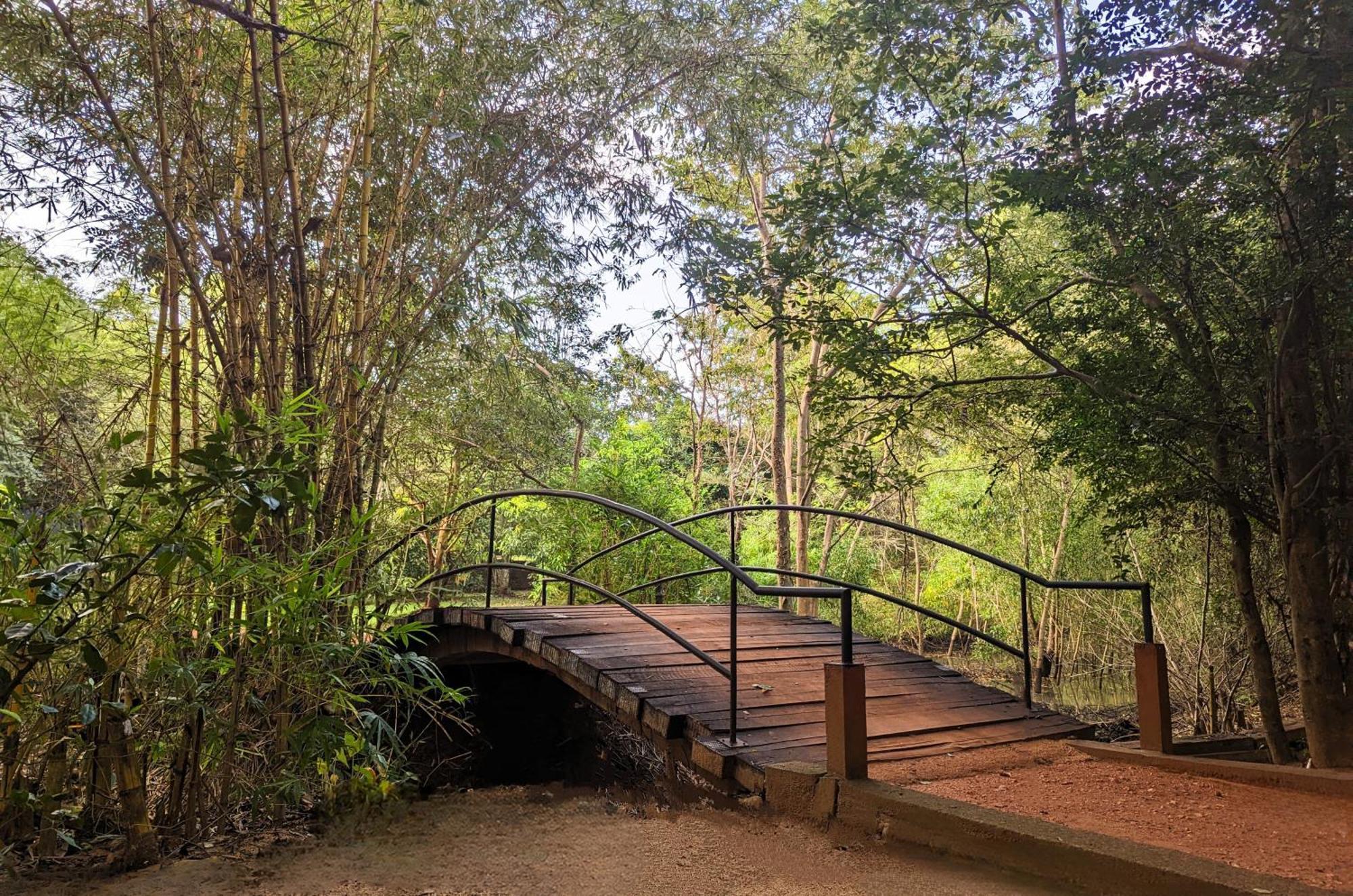 Pinthaliya Resort Σιγκιρίγια Εξωτερικό φωτογραφία