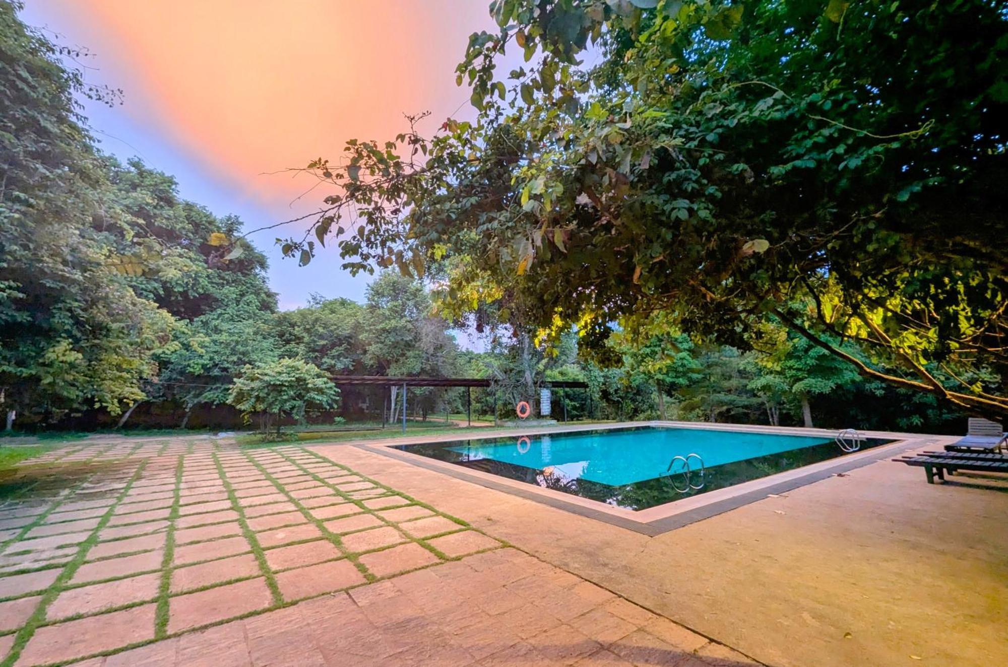 Pinthaliya Resort Σιγκιρίγια Εξωτερικό φωτογραφία