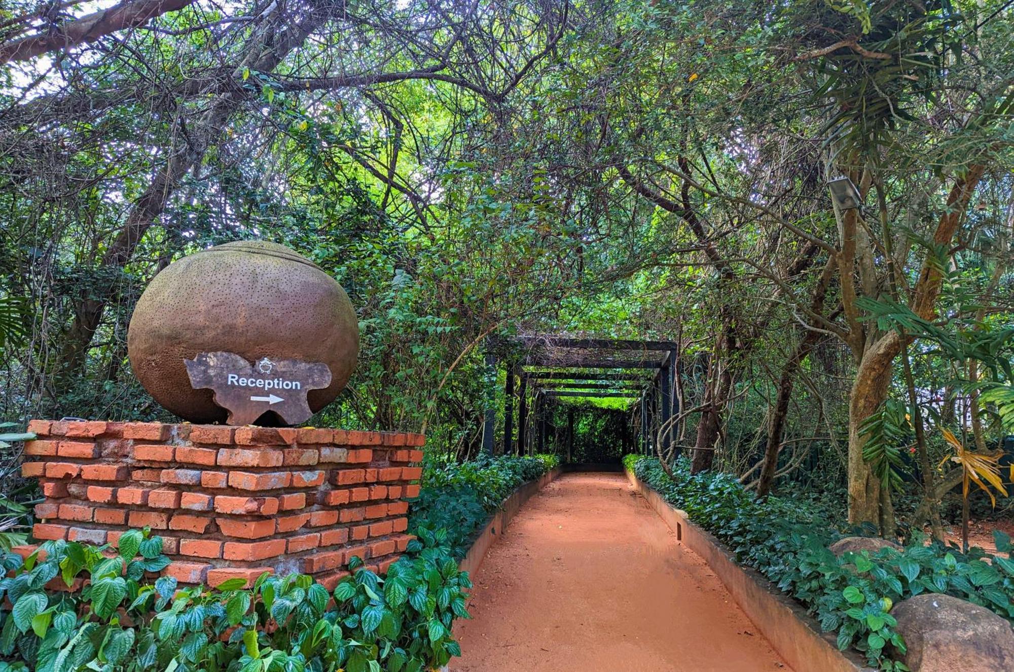 Pinthaliya Resort Σιγκιρίγια Εξωτερικό φωτογραφία