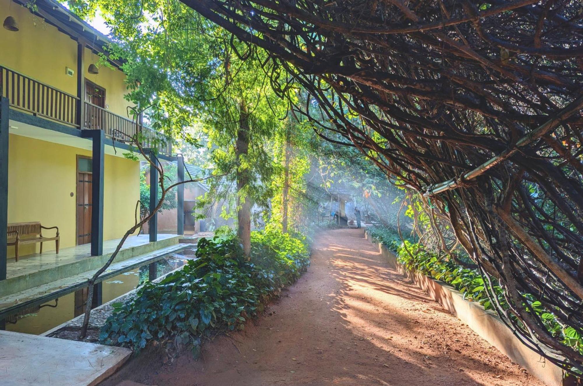 Pinthaliya Resort Σιγκιρίγια Εξωτερικό φωτογραφία