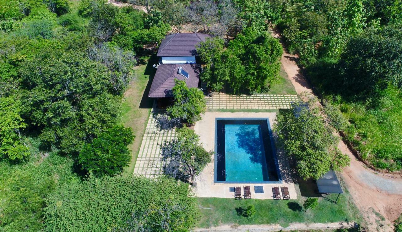 Pinthaliya Resort Σιγκιρίγια Εξωτερικό φωτογραφία